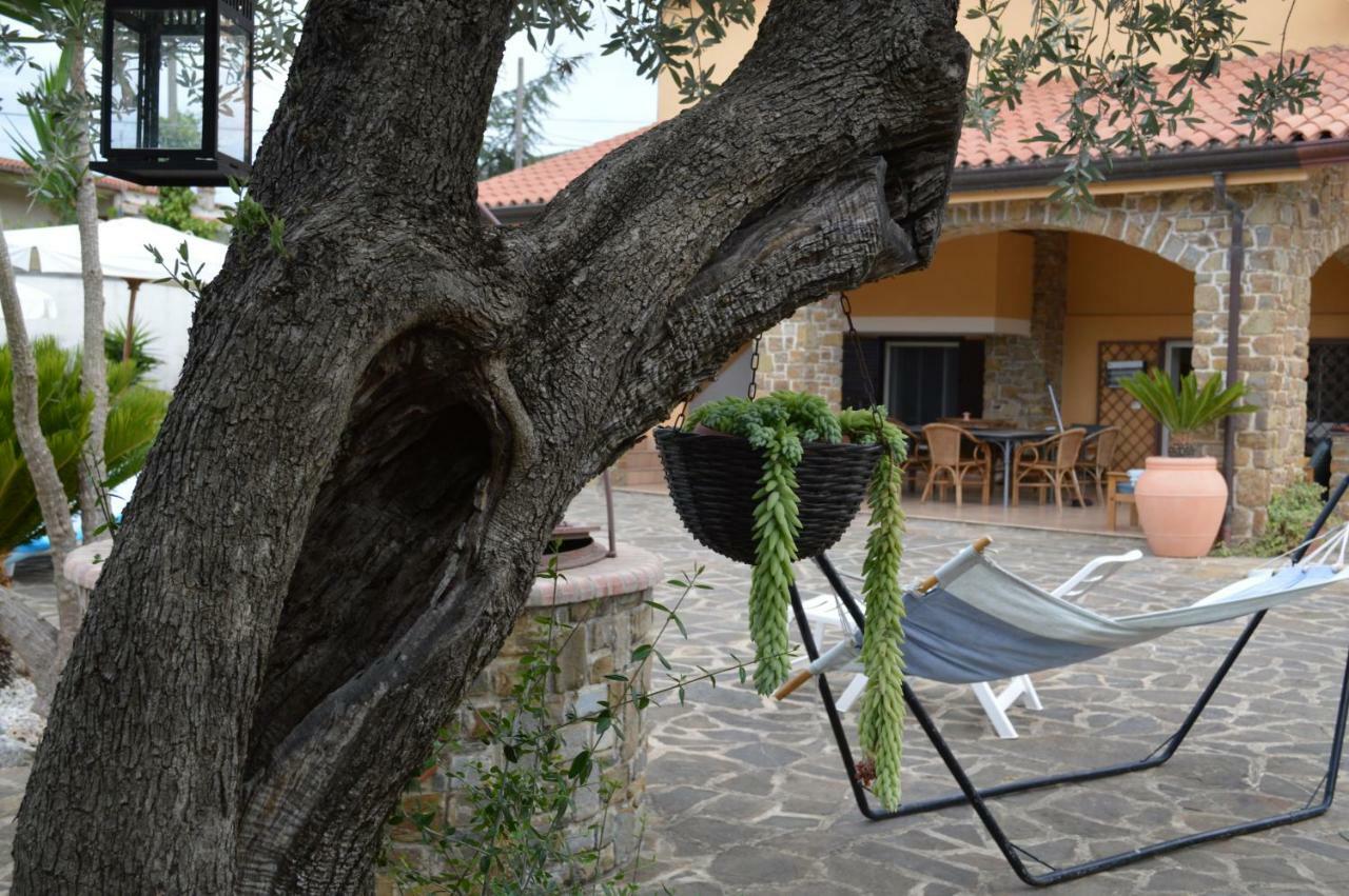 B&B Fasolino Montecorice Ngoại thất bức ảnh